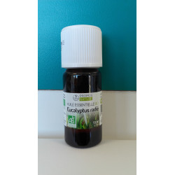 Eucalyptus radié Bio