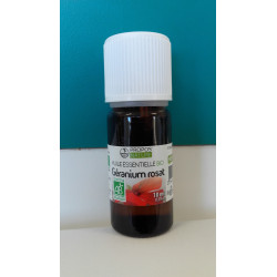 Géranium rosat Bio