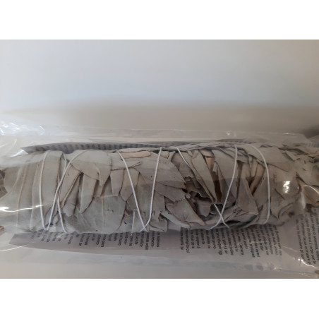 Sauge blanche naturelle